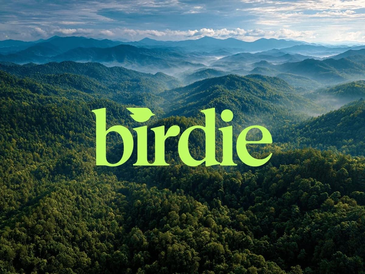 birdie